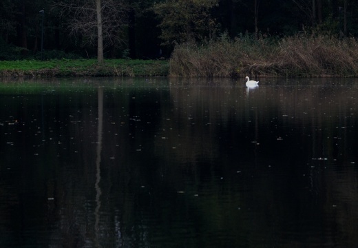 Heemtuin Ockenburg
