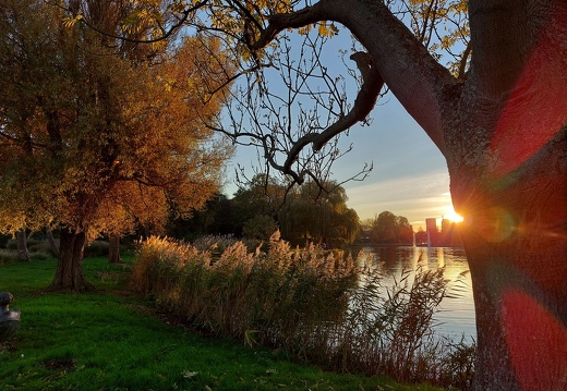 Herfstplaatjes